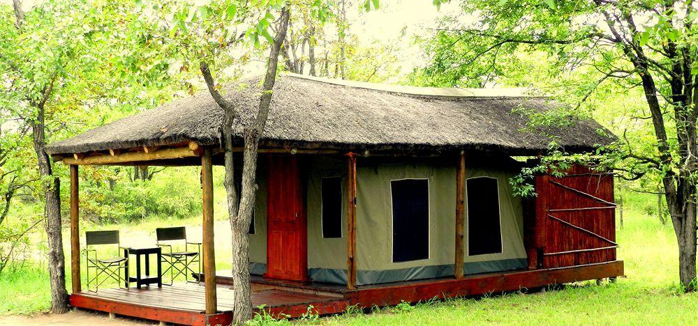 Shindzela Tented Camp Timbavati Game Reserve Extérieur photo