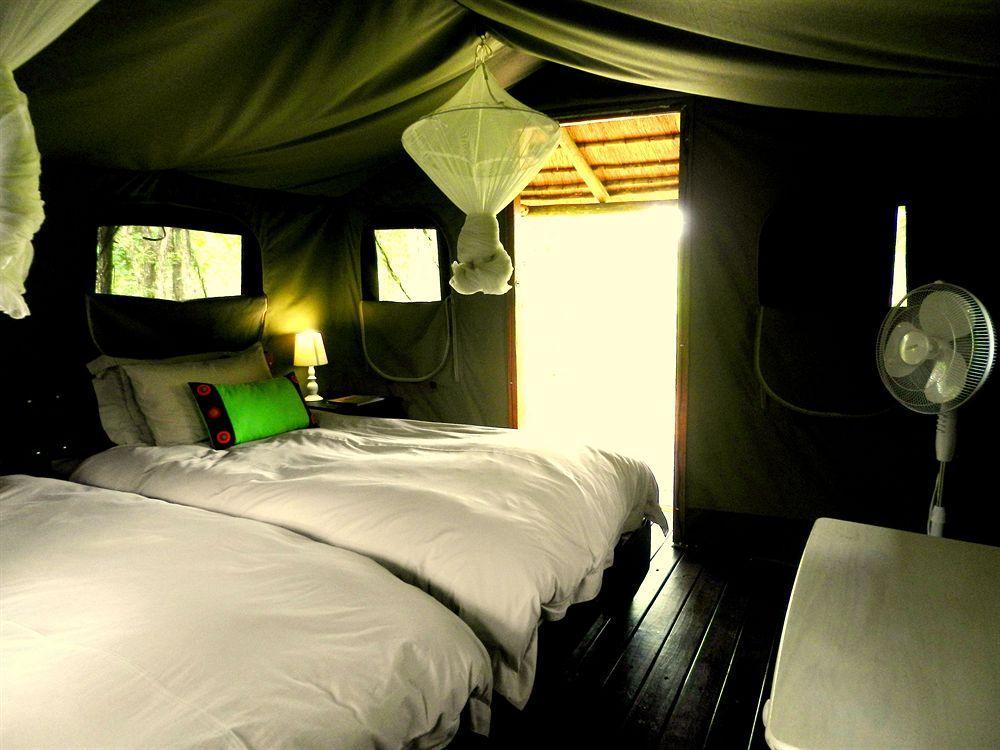Shindzela Tented Camp Timbavati Game Reserve Extérieur photo