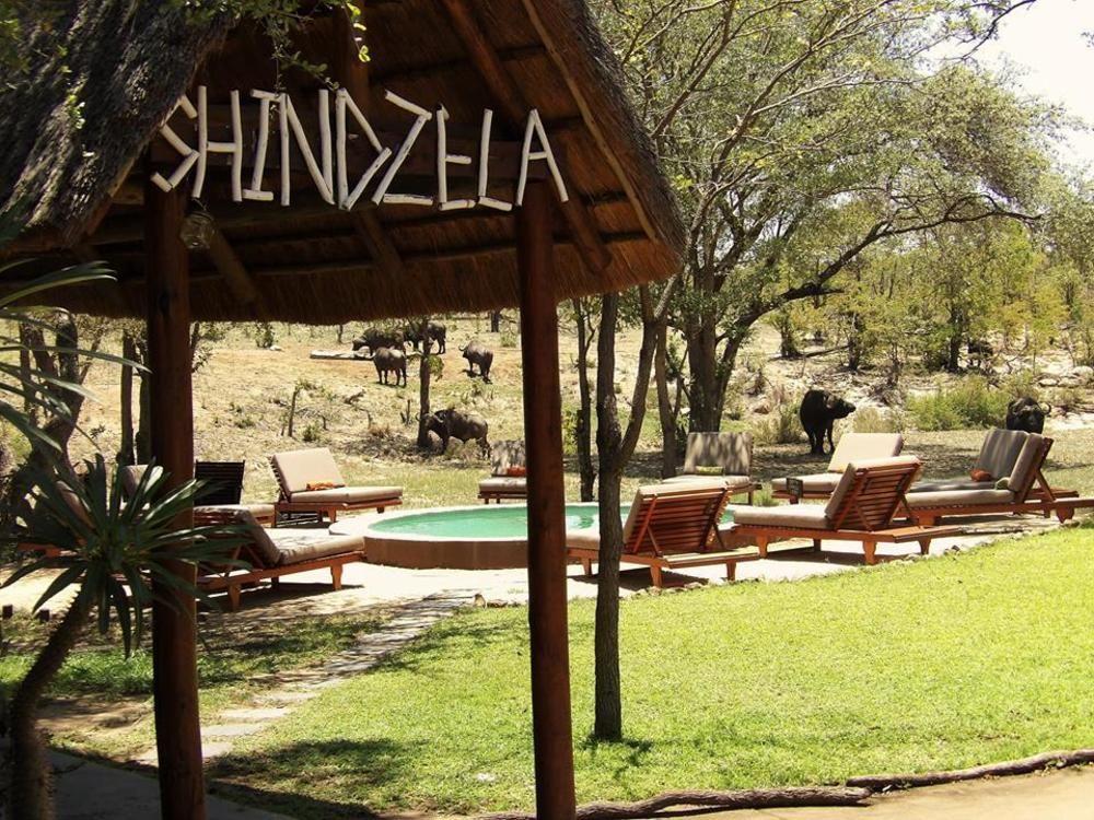 Shindzela Tented Camp Timbavati Game Reserve Extérieur photo