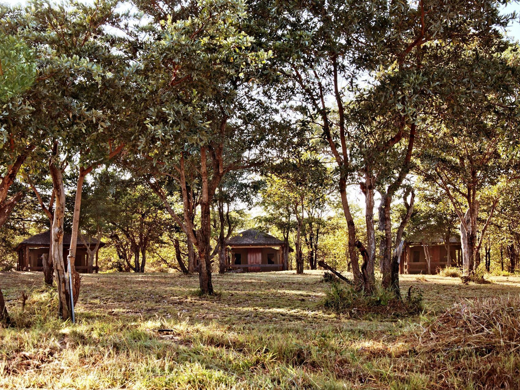 Shindzela Tented Camp Timbavati Game Reserve Extérieur photo