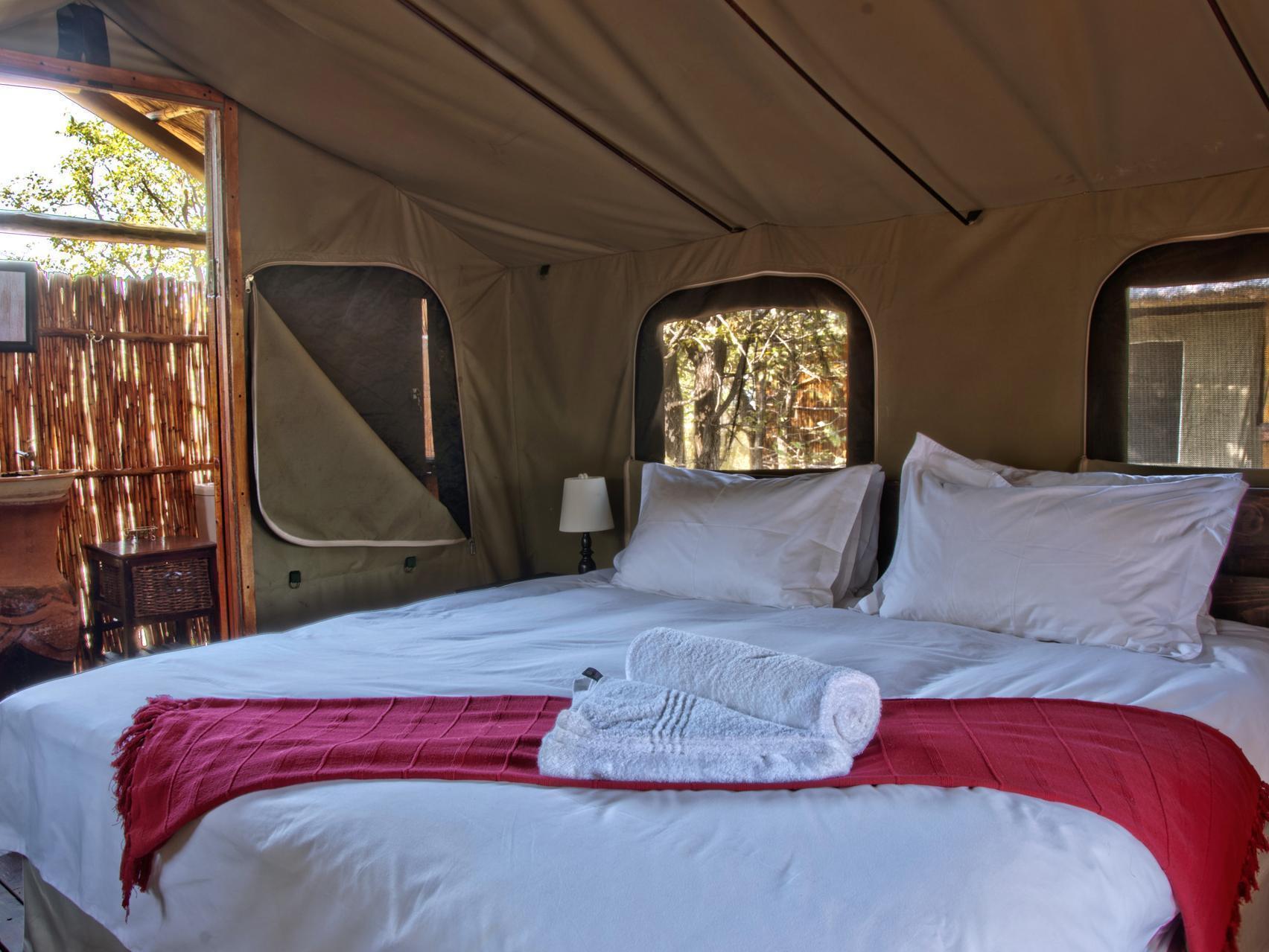 Shindzela Tented Camp Timbavati Game Reserve Extérieur photo