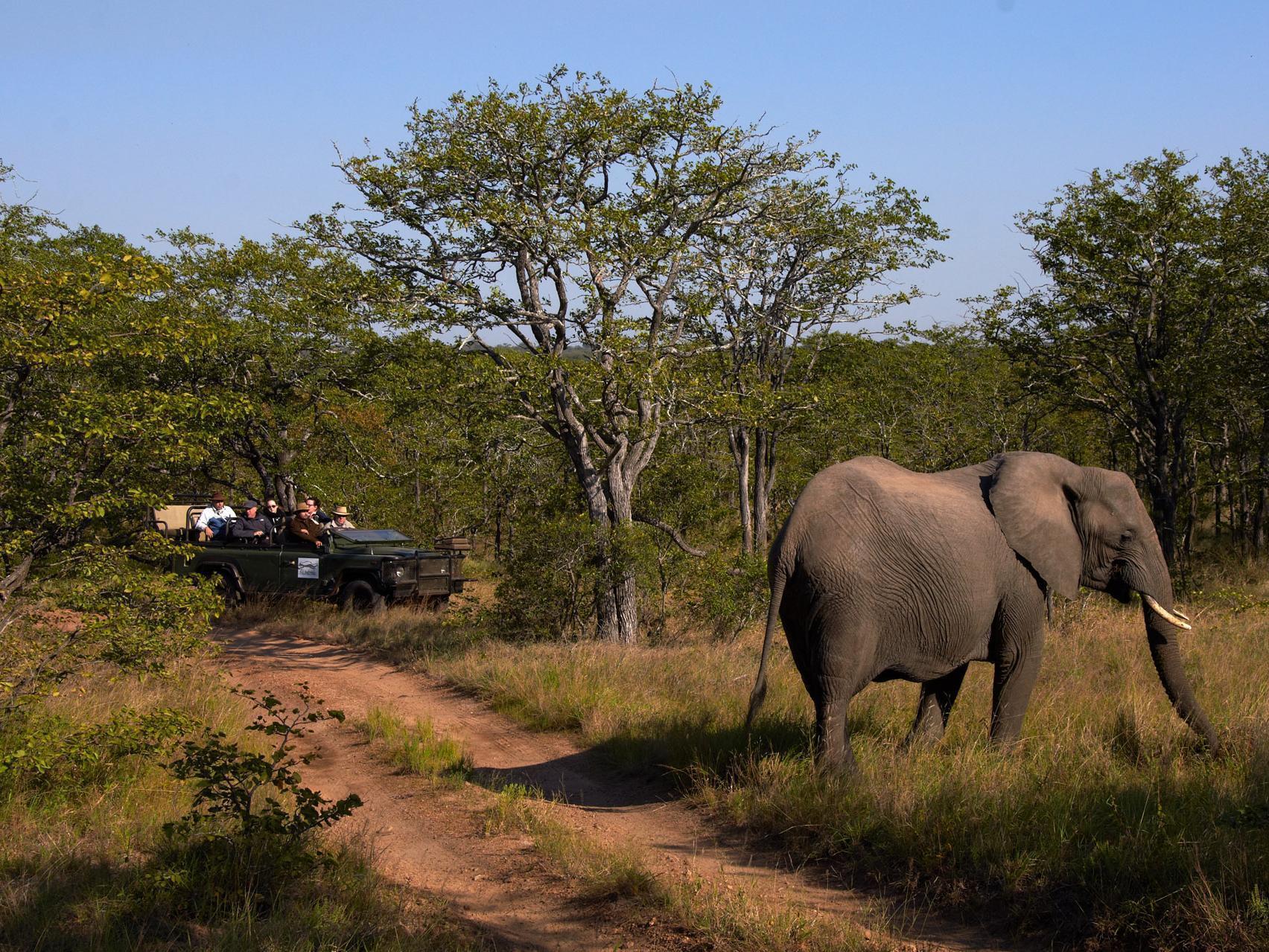 Shindzela Tented Camp Timbavati Game Reserve Extérieur photo