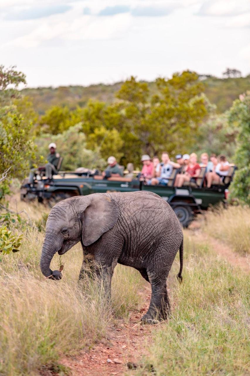 Shindzela Tented Camp Timbavati Game Reserve Extérieur photo