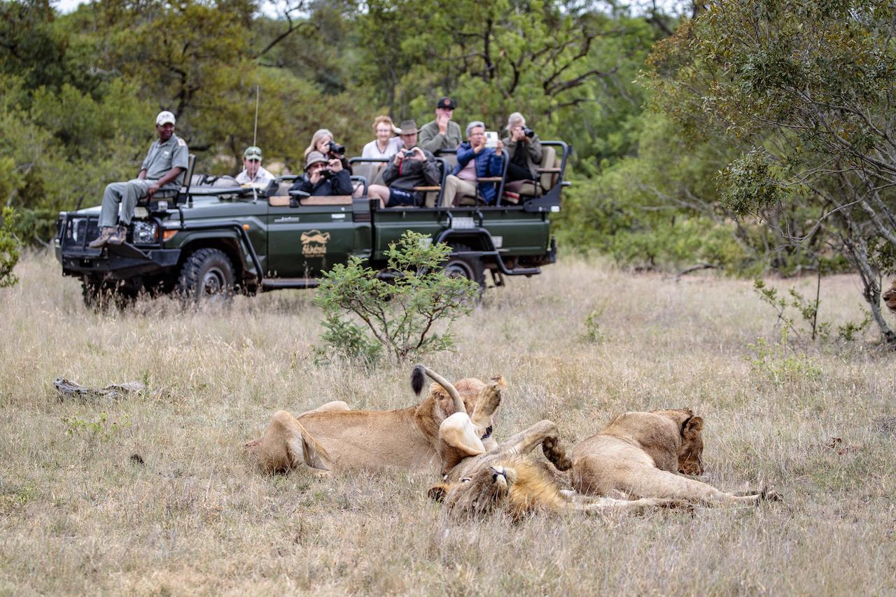 Shindzela Tented Camp Timbavati Game Reserve Extérieur photo