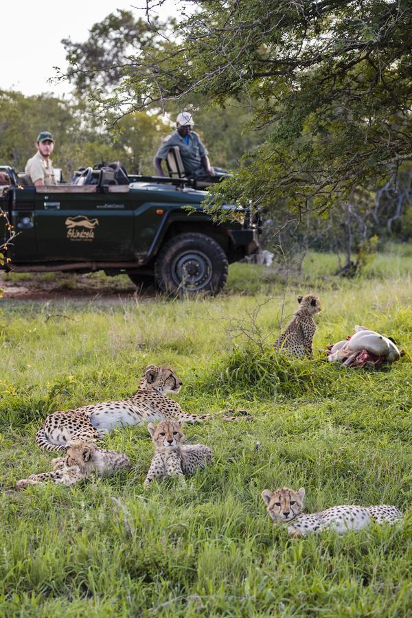 Shindzela Tented Camp Timbavati Game Reserve Extérieur photo