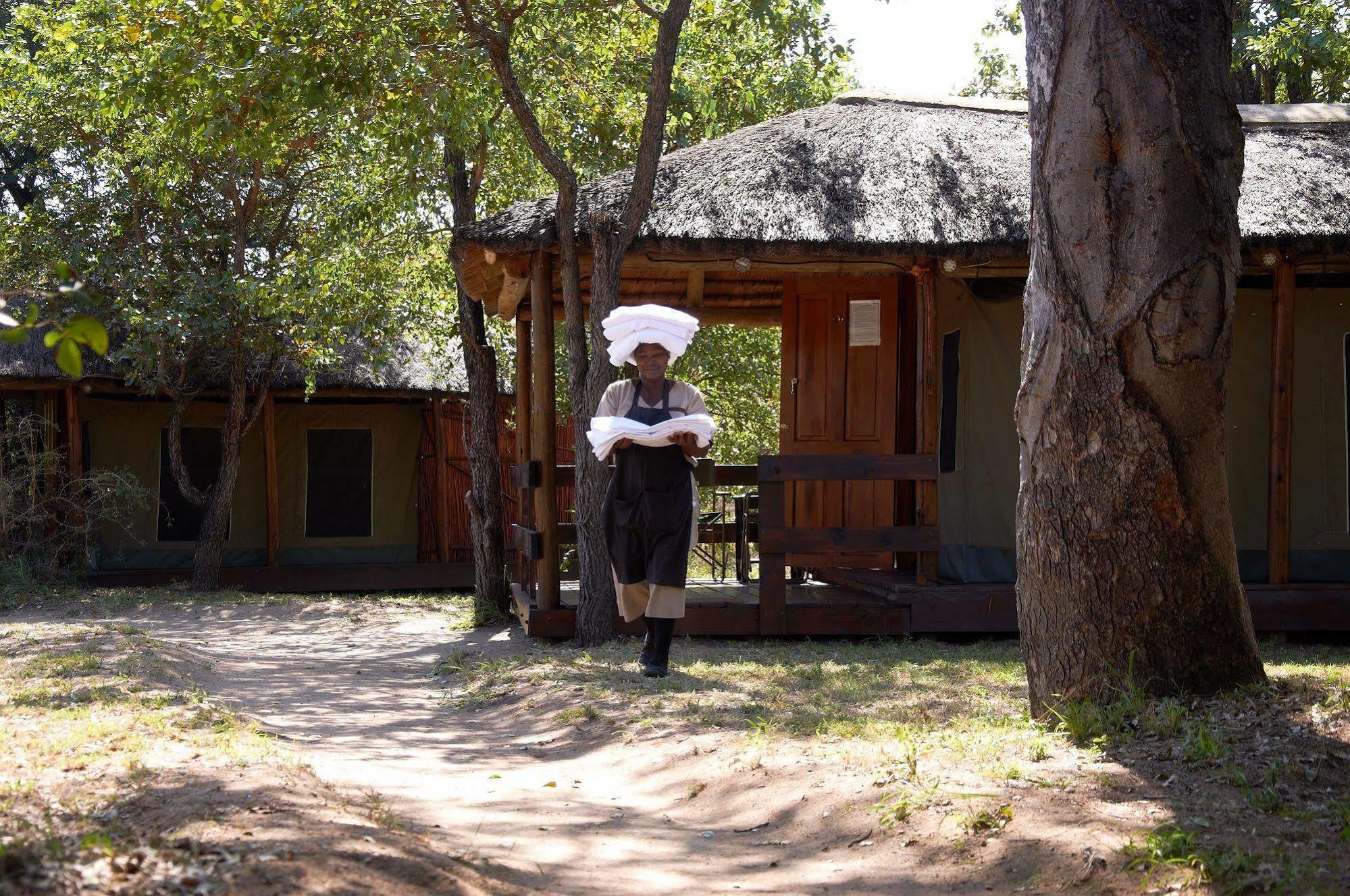 Shindzela Tented Camp Timbavati Game Reserve Extérieur photo