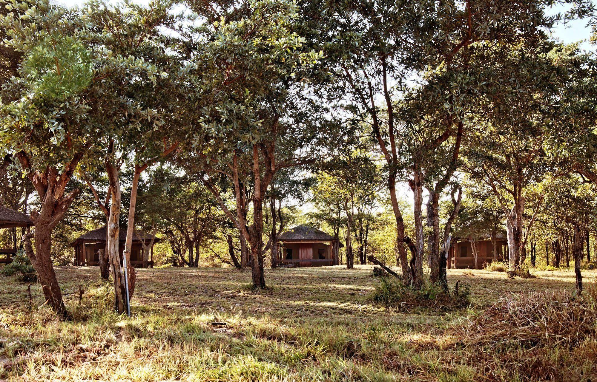Shindzela Tented Camp Timbavati Game Reserve Extérieur photo