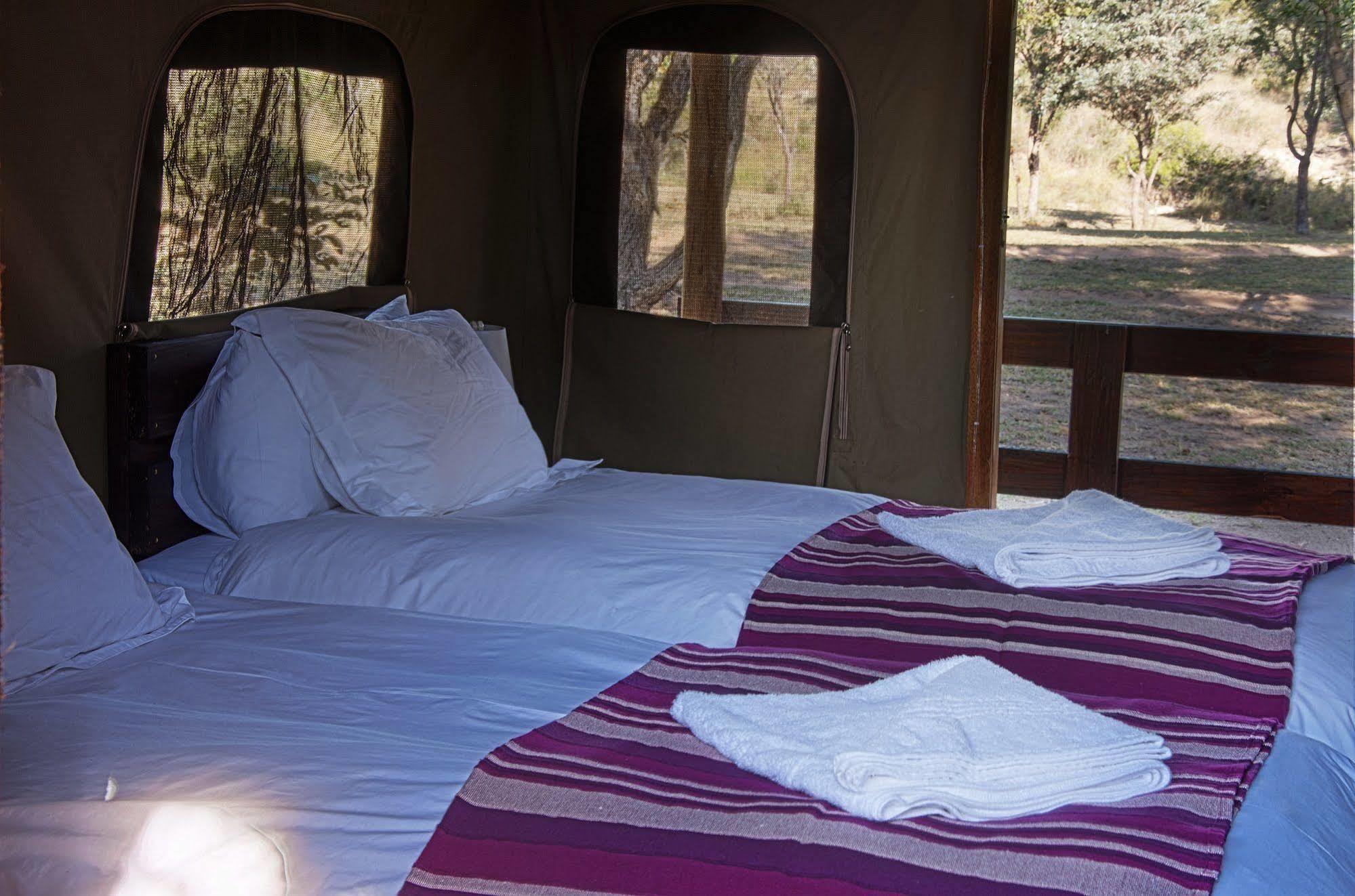 Shindzela Tented Camp Timbavati Game Reserve Extérieur photo