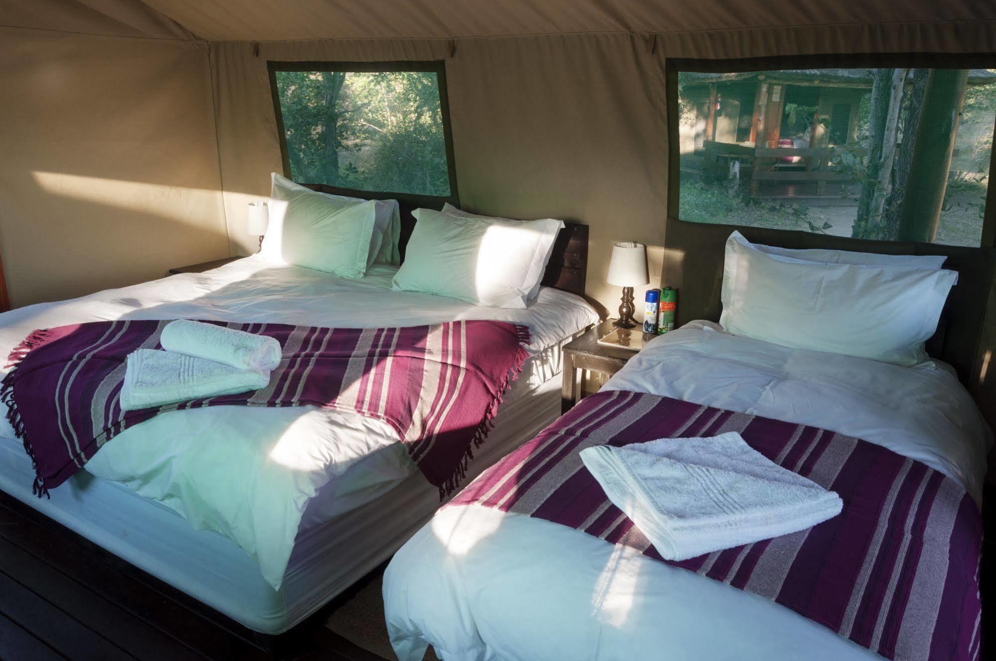 Shindzela Tented Camp Timbavati Game Reserve Extérieur photo