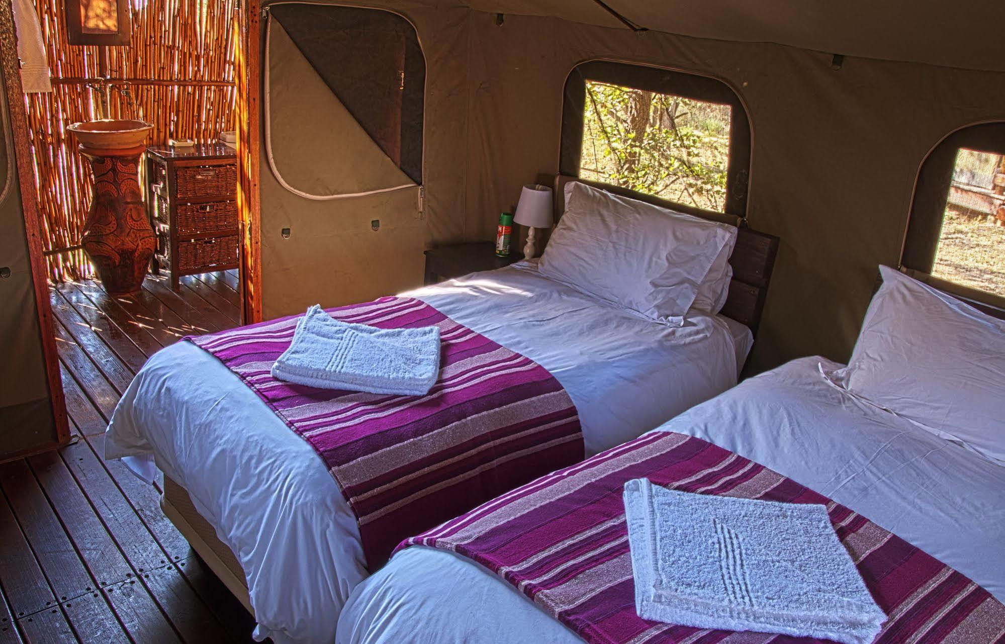 Shindzela Tented Camp Timbavati Game Reserve Extérieur photo