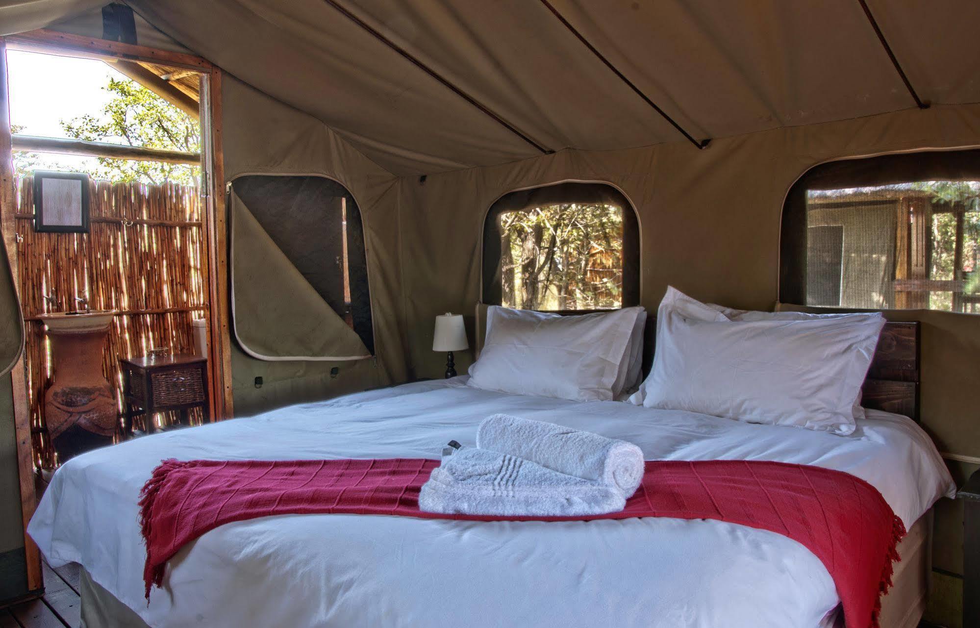Shindzela Tented Camp Timbavati Game Reserve Extérieur photo