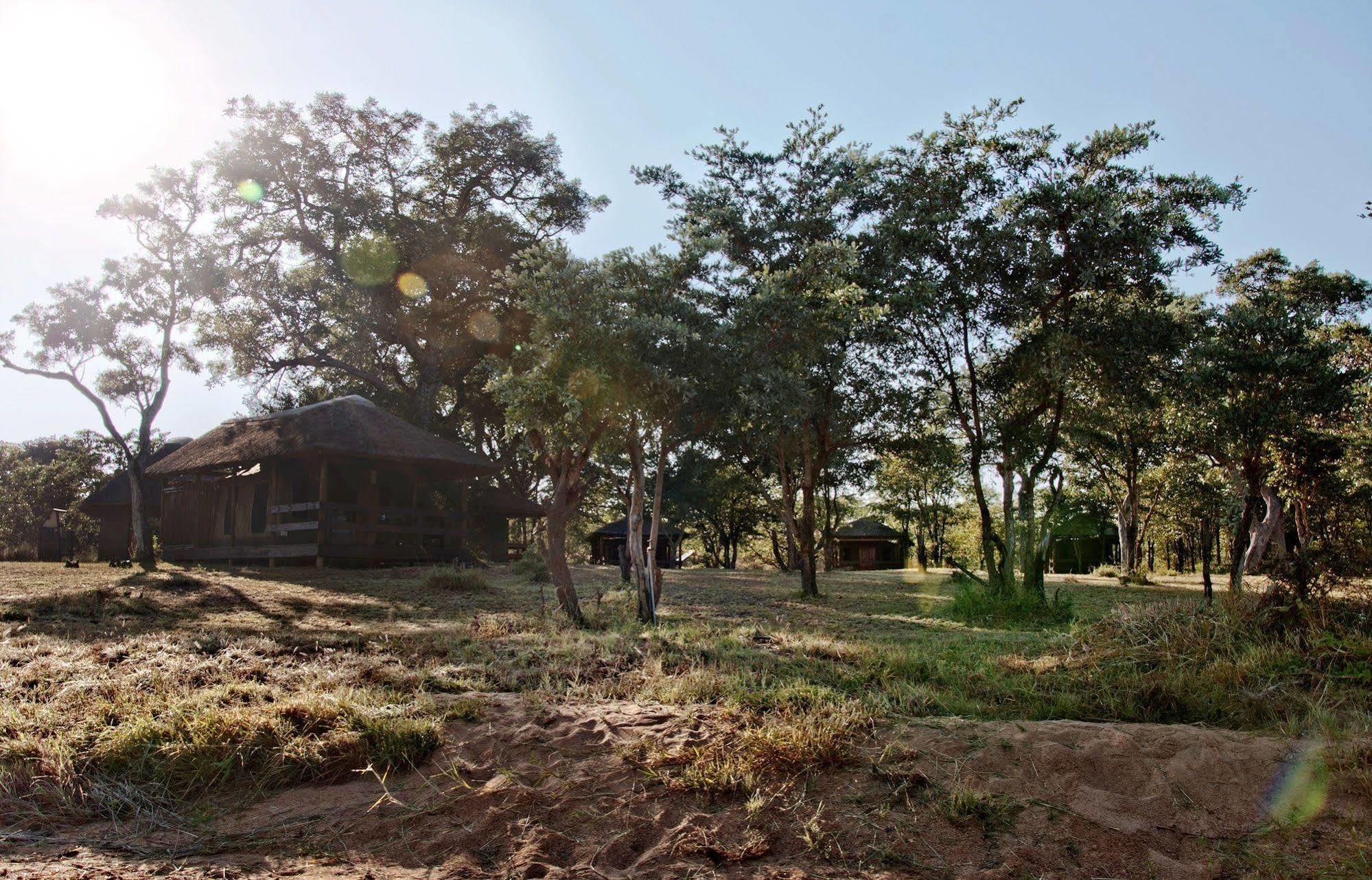 Shindzela Tented Camp Timbavati Game Reserve Extérieur photo