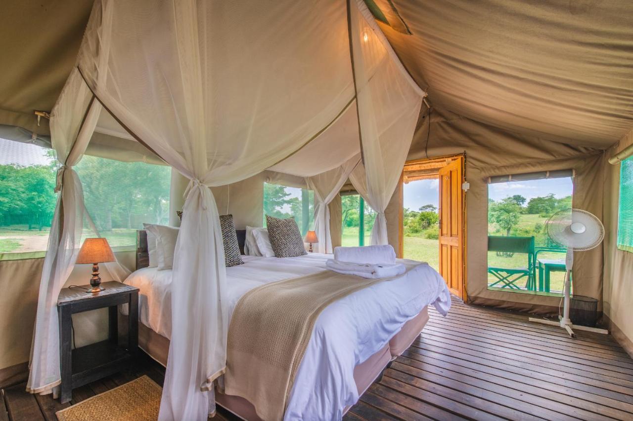 Shindzela Tented Camp Timbavati Game Reserve Extérieur photo