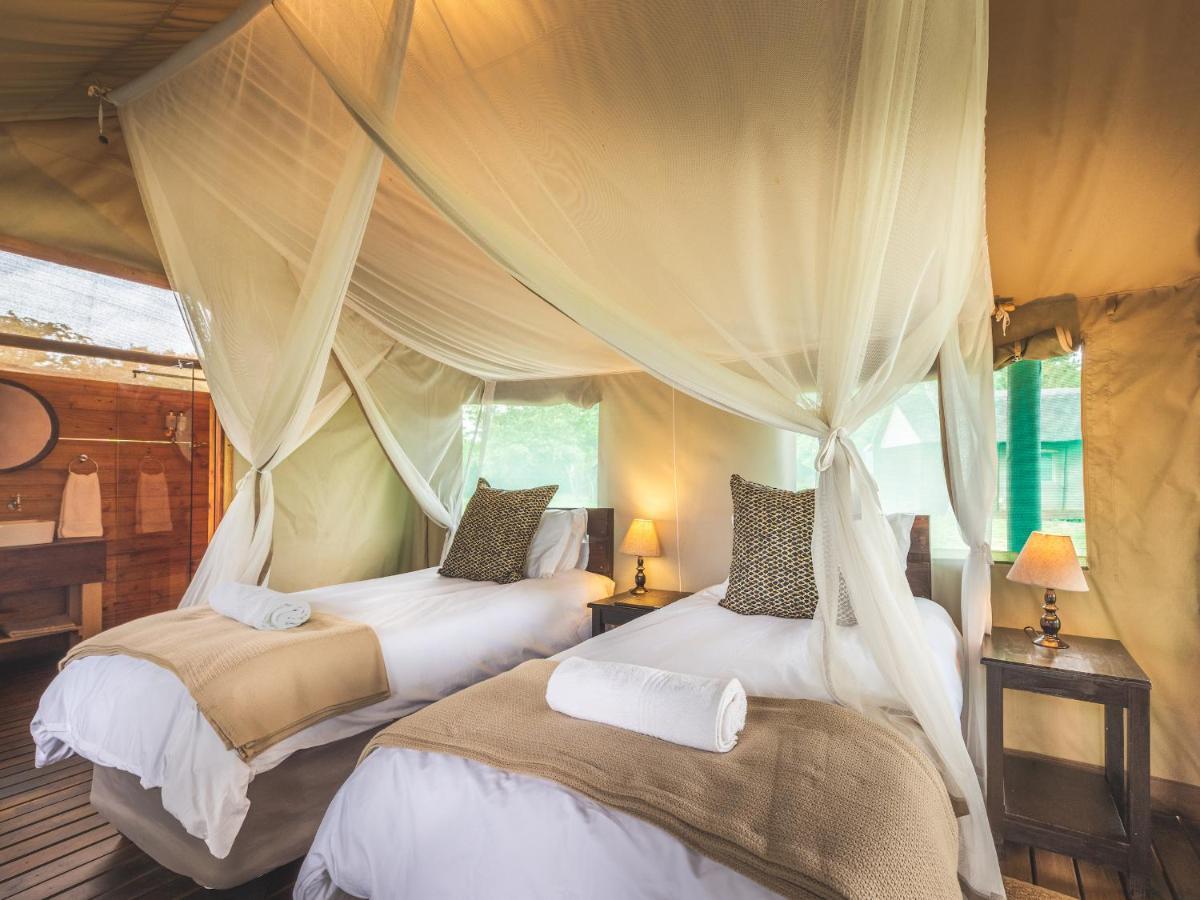 Shindzela Tented Camp Timbavati Game Reserve Extérieur photo