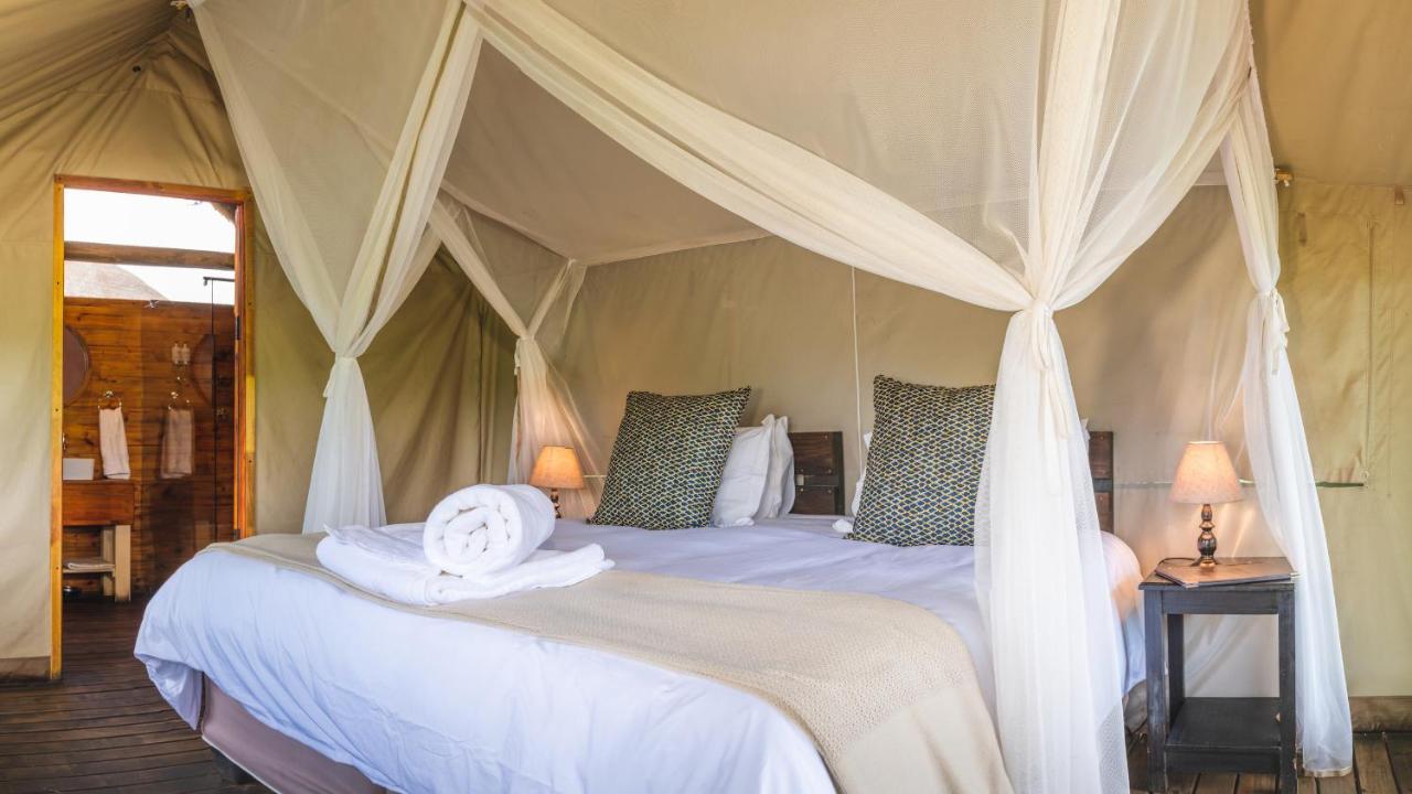 Shindzela Tented Camp Timbavati Game Reserve Extérieur photo