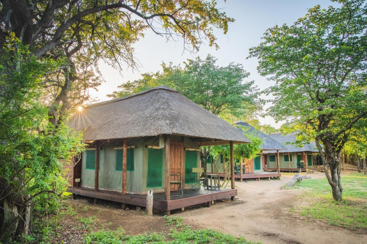Shindzela Tented Camp Timbavati Game Reserve Extérieur photo
