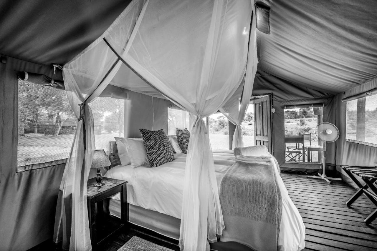 Shindzela Tented Camp Timbavati Game Reserve Extérieur photo