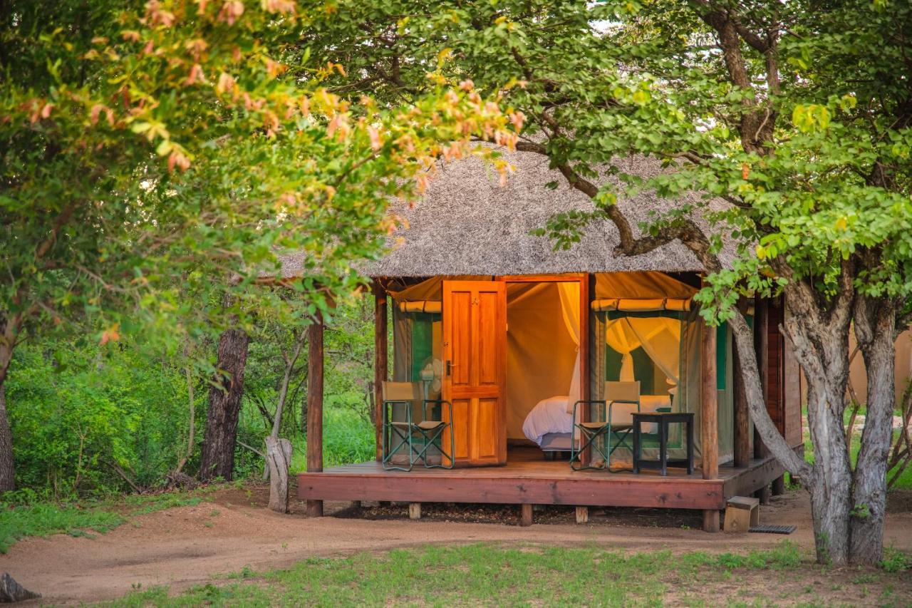 Shindzela Tented Camp Timbavati Game Reserve Extérieur photo
