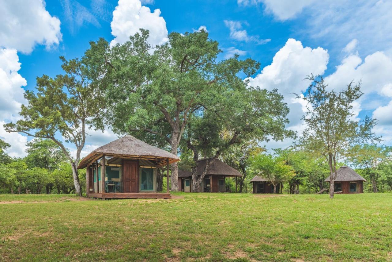 Shindzela Tented Camp Timbavati Game Reserve Extérieur photo