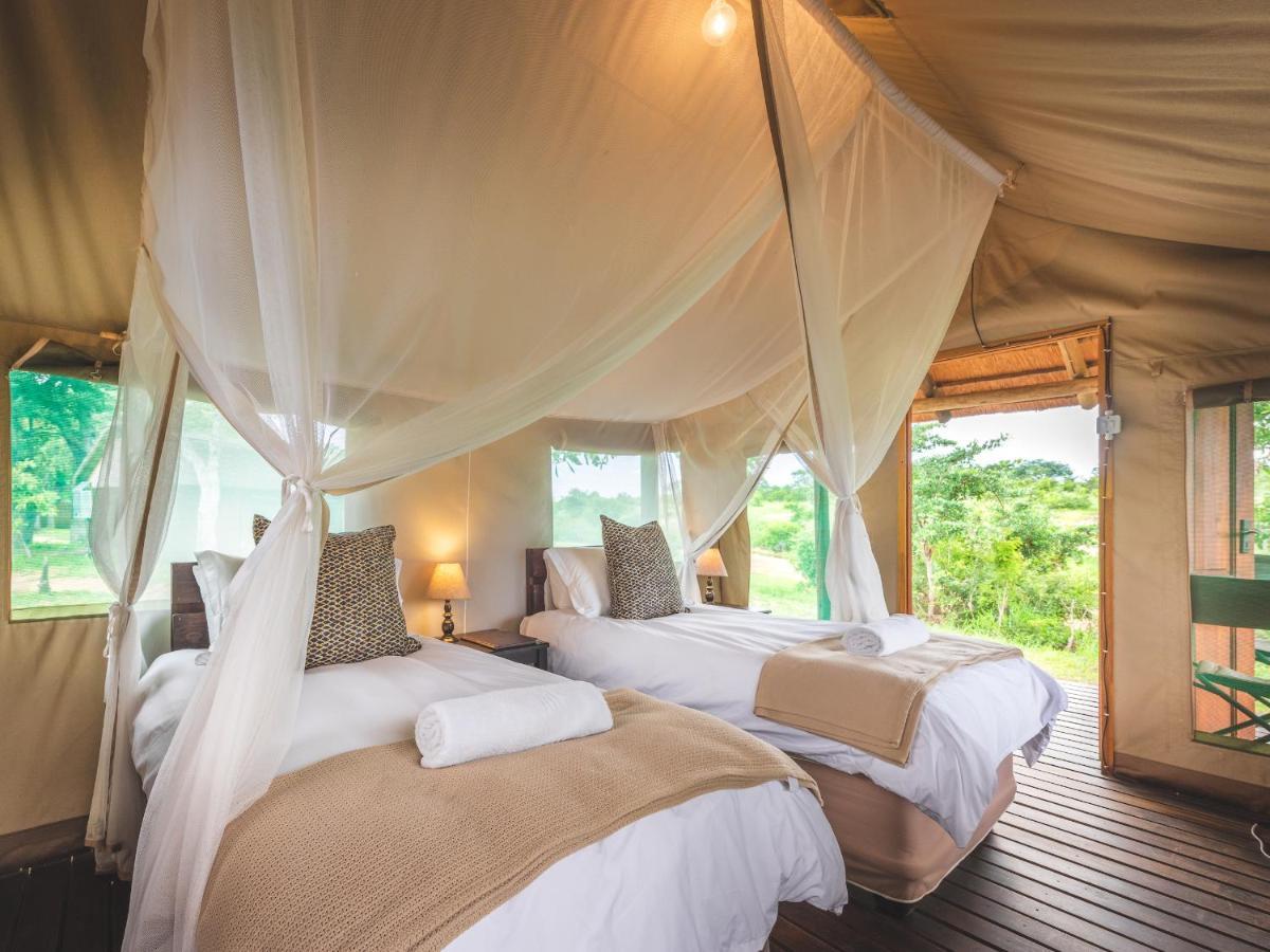 Shindzela Tented Camp Timbavati Game Reserve Extérieur photo