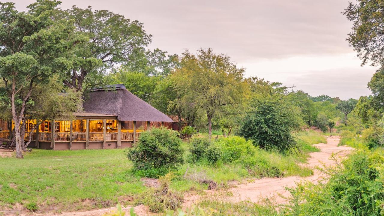Shindzela Tented Camp Timbavati Game Reserve Extérieur photo