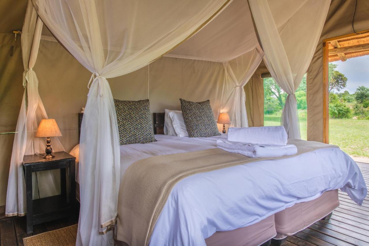 Shindzela Tented Camp Timbavati Game Reserve Extérieur photo