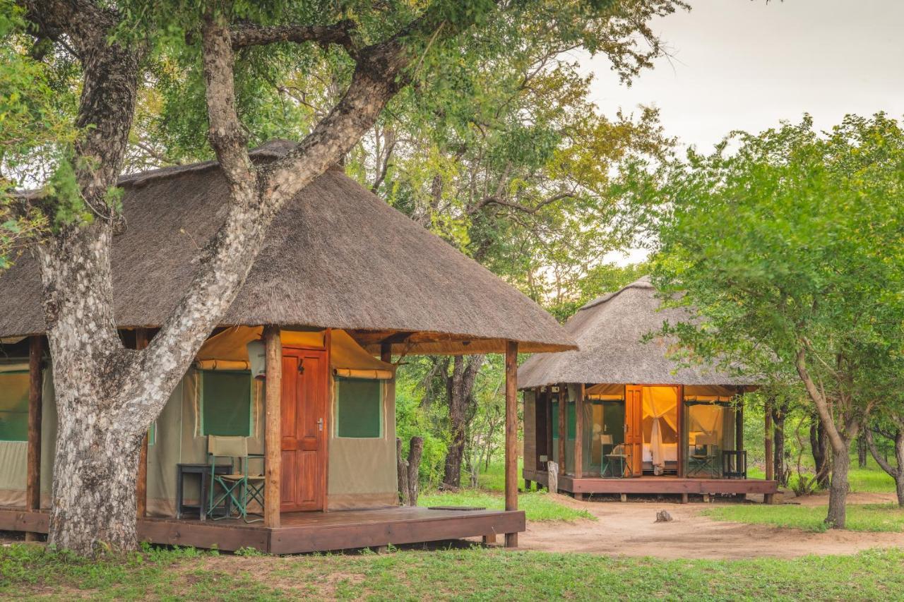 Shindzela Tented Camp Timbavati Game Reserve Extérieur photo