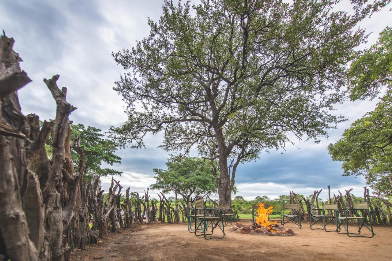 Shindzela Tented Camp Timbavati Game Reserve Extérieur photo